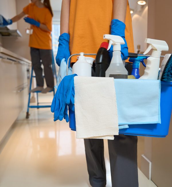 Photo of set with cleaning products, brushes, sprays, rags